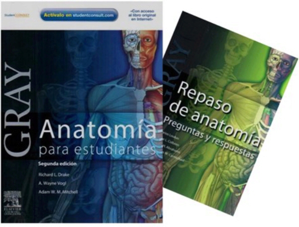 Repaso De Anatomia Gray Pdf