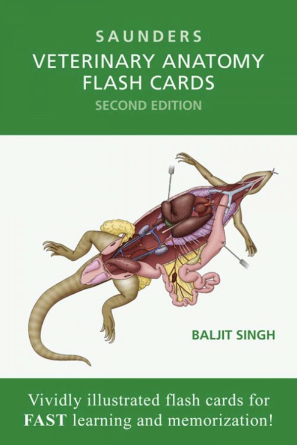 Veterinary Anatomy Flash Cards (ebook)