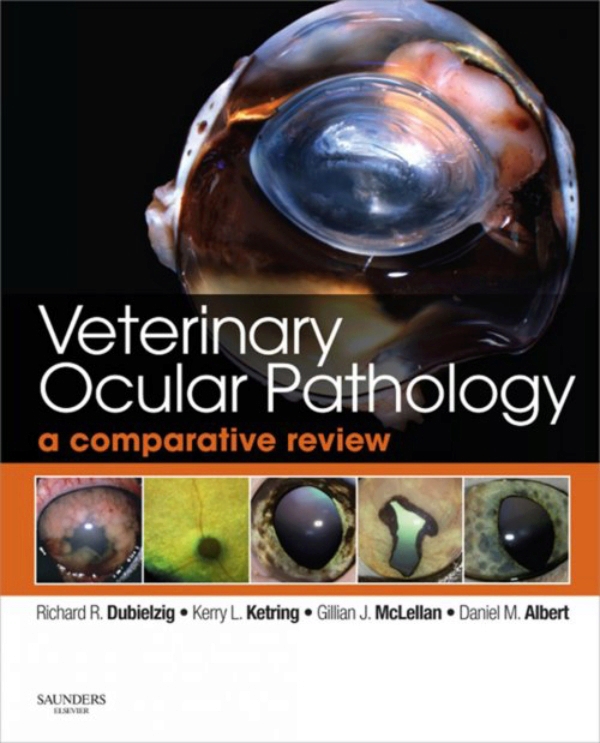 epub AACN Essentials of Critical