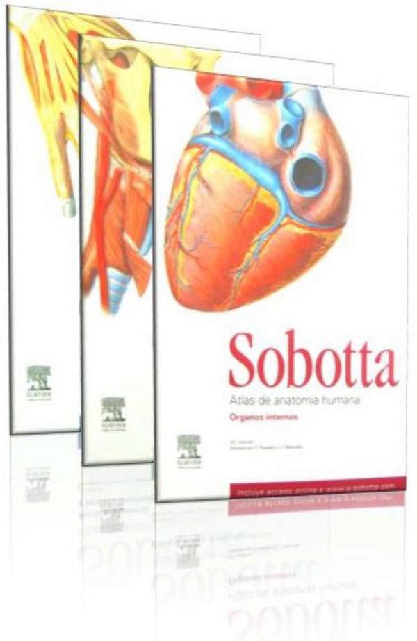Histologia de sobotta pdf viewer Histologia de sobotta pdf viewer