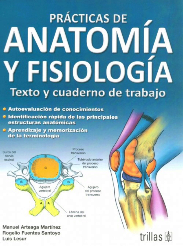 Libros de Anatoma PDF gratis - Estudiando Medicina