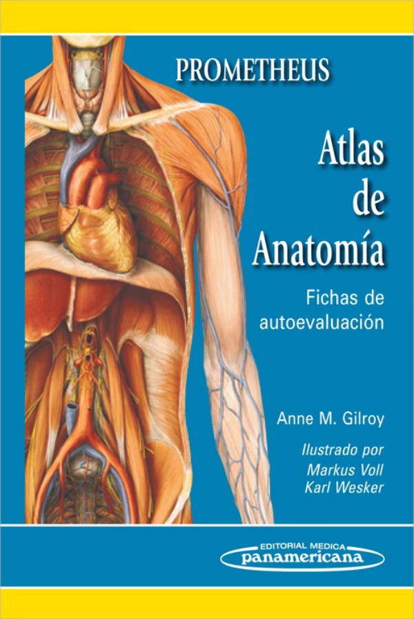 Anatomiaa