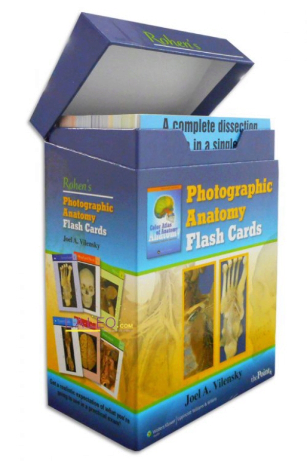 Rohen Photographic Anatomy Flash Cards