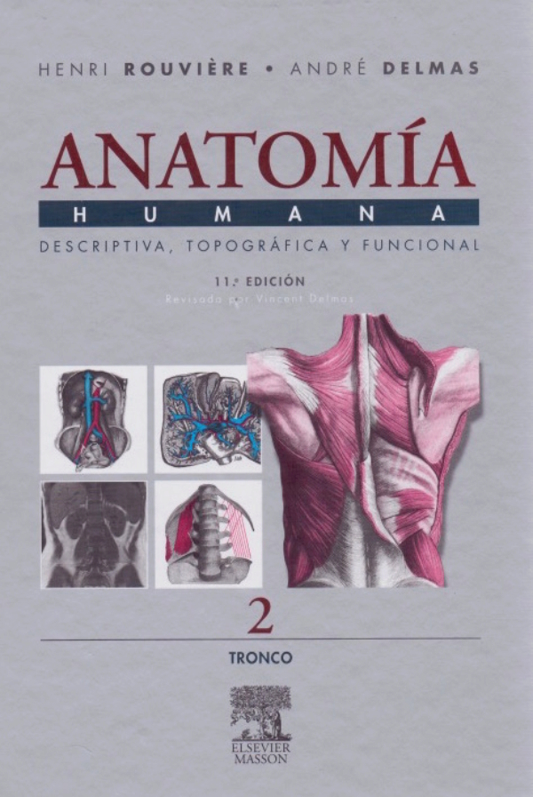 Anatomía Humana. Descriptiva, Topográfica y Funcional: Tronco Tomo 2