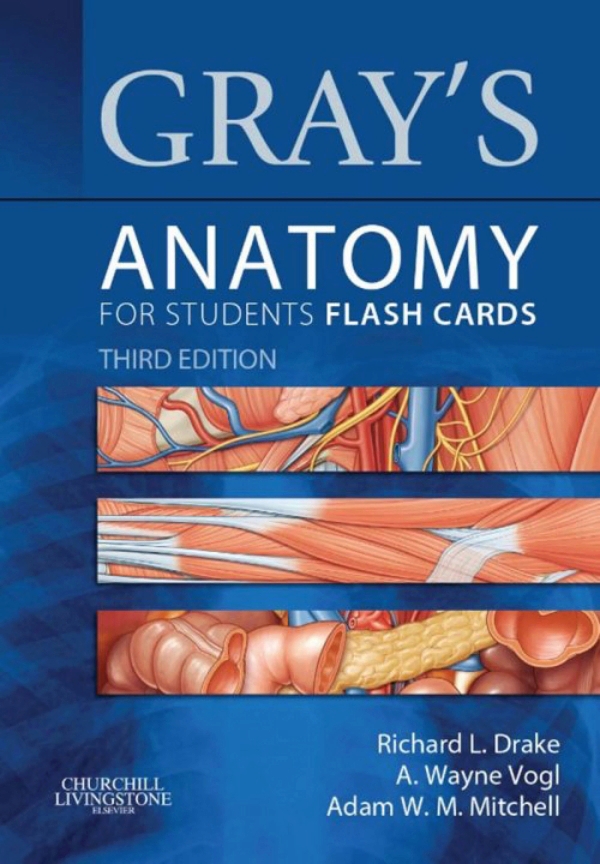 Gray's Anatomy for Students Flash Cards (ebook)