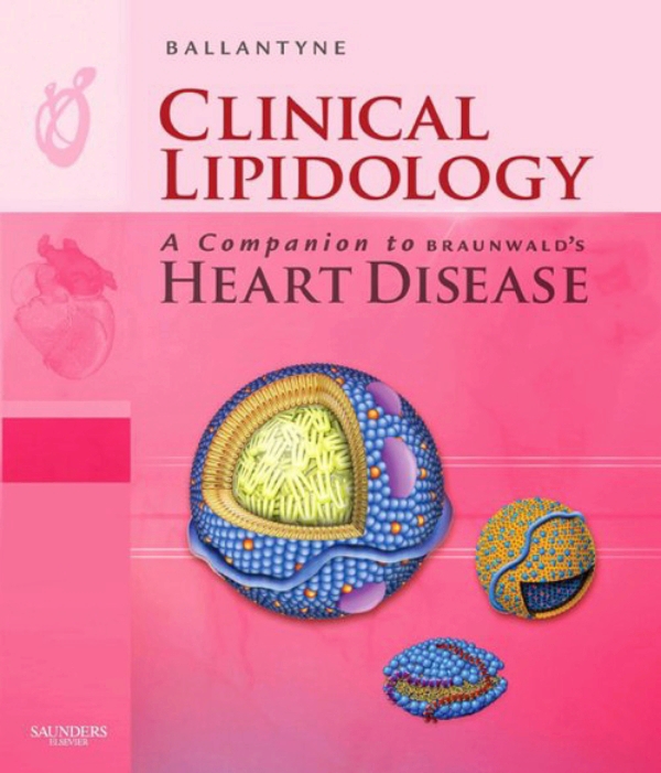 breast cancer stem cells therapy resistance 2015