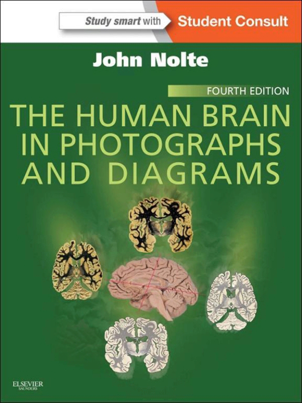 The Human Brain in Photographs and Diagrams (ebook)
