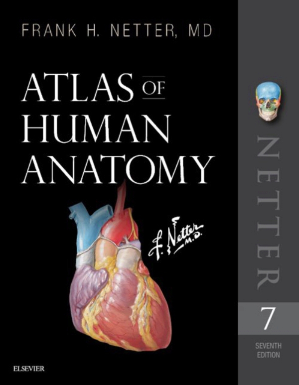 atlas of human anatomy pdf free