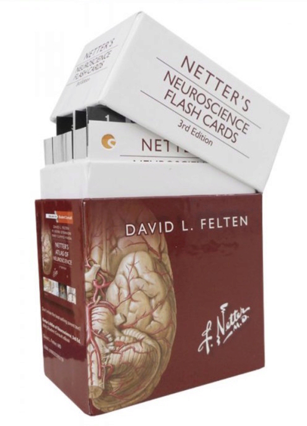 Netter. Neuroscience Flash Cards