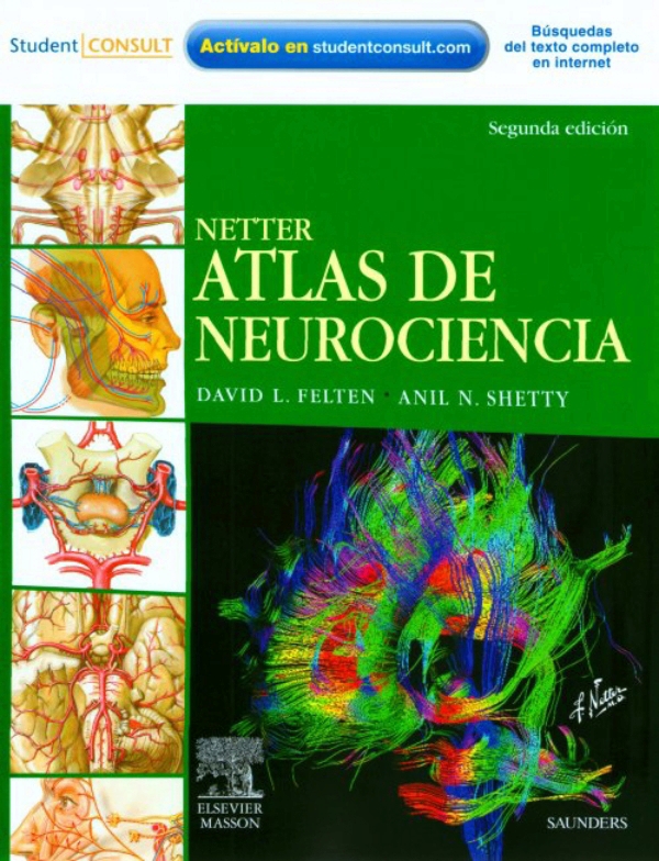 Libros de petrologia metamorfica pdf merge