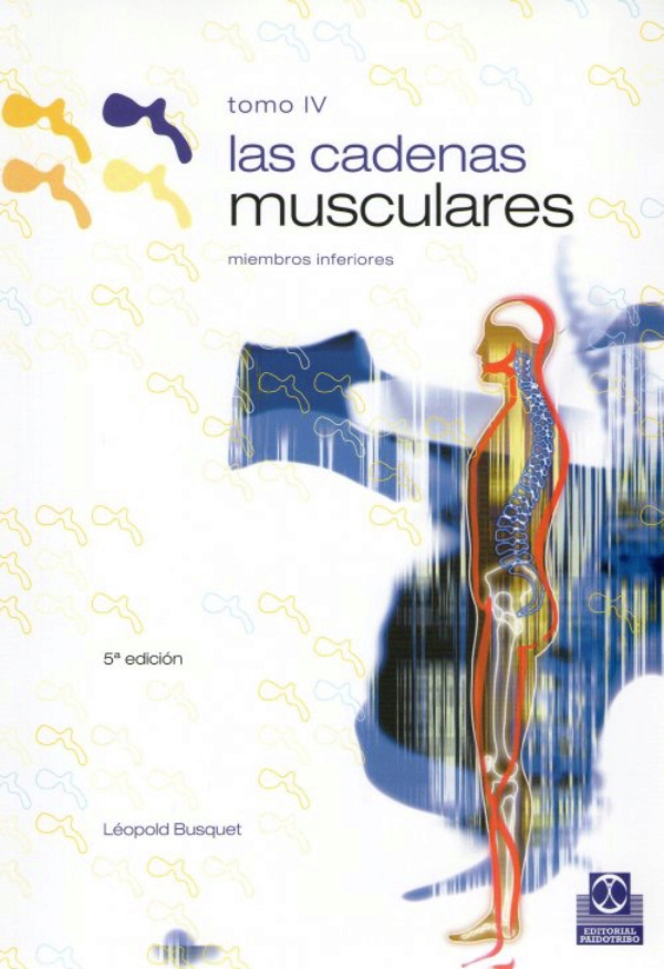 las cadenas musculares de busquet busquet las cadenas musculares tomo iv miembros inferiores las cadenas musculares de busquet busquet las cadenas musculares tomo iv miembros inferiores